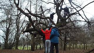 The Mandem search for Robin Hood (Sherwood Forest)