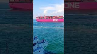 One Liner #viral #shortsfeed #youtubeshorts #shortsvideo #shortvideo #hongkong #ship