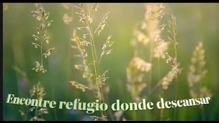 Encontre refugio donde descansar