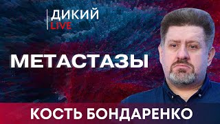 Игра на нервах. Константин Бондаренко. Дикий LIVE.