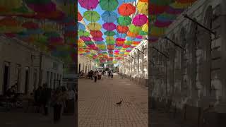 Alba Iulia Street, Timisoara#city #colors #youtubeshorts #subscribe