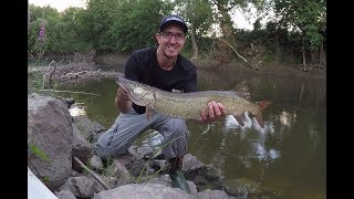 4 Musky in one evening!