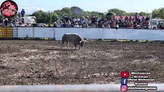 🔥Primer toro de la tarde alcanza a Felipe Martínez 🔥