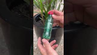 Mecanismo automático para suas plantas #diy #truques #vocesabia #facavocemesmo #dicascriativas