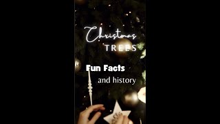 Christmas Tree fun facts and history #shorts