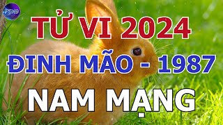 Tử Vi Nam Mạng Đinh Mão 1987 Trong Năm 2024 | Phong Thủy Hoàng Đạo