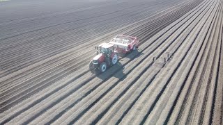 Case IH Puma 240 With Grimme GL 430