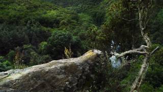 Nichts berührt uns wie das Unberührte. Nationalpark Thayatal