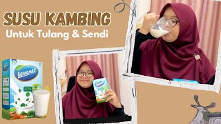 NYERI SENDI HILANG DENGAN KONSUMSI SUSU KAMBING. KOK BISA⁉️ - REVIEW SUSU KAMBING ETAWA GAMAMILK