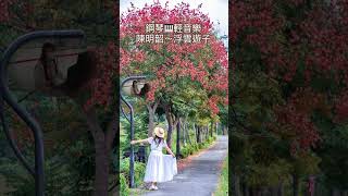 陳明韶～浮雲遊子❤️鋼琴🎹輕音樂#醫院鋼琴志工