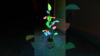 LED Plant - No water required