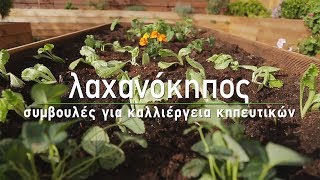 🥬 Καλλιέργεια λαχανικών και δημιουργία λαχανόκηπου - Τα Μυστικά του Κήπου