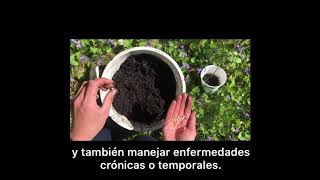 Beneficios para la salud al practicar la jardinería | CLUES Covid-19