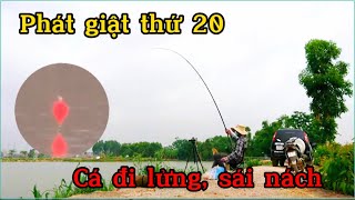 Câu lục l Trắm đen đi lửng, giật hay bong, làm sao để khắc phục các cụ? Black carp is too cool