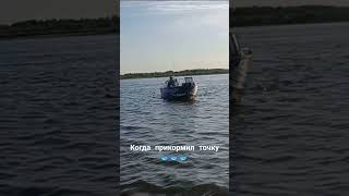 фишинглайв #fishing #калмыкия #цаган #рыбалка #volga