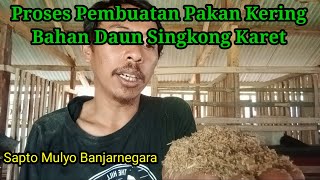 PROSES PEMBUATAN PAKAN KERING BAHAN HIJAOAN SINGKONG KARET Kandang Sapto Muyo Banjarnegara