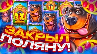 Закрыл ОГРОМНУЮ ПОЛЯНУ РОЗОВЫХ СОБАК в THE DOG HOUSE MEGAWAYS/ ДОГ ХАУС ЗАНОС