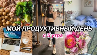 Мой ПРОДУКТИВНЫЙ ДЕНЬ с 5 утра | Study with me, питание,  похудение и планы на лето