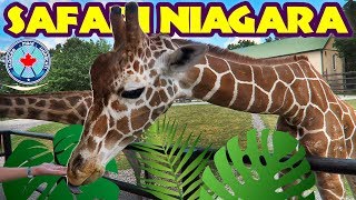 FEEDING GIRAFFES & SKYQUEST ROPES COURSE at SAFARI NIAGARA! Niagara Falls, Ontario, Canada