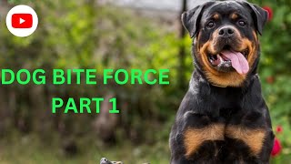 DOG WITH BITE FORCE PART 1 || IF YOU LOVE THE DOG THEN LIKE ABD SUBSCRIBE|| #viral #trending