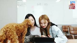 (G)I-DLE Vlive 2019.04.23