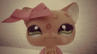 Littlest Pet Shop: Droids (Episode 4, Part 1) "Believe Me"