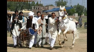 Amazing Horse dance in pakistan 2019 No.6