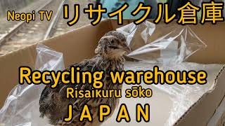 #RECYCLING IN JAPAN