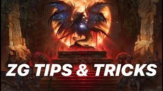 Zul'Gurub 1-Pull Farm // Commentary + Tips/Tricks