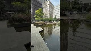 Exploring Collect Pond Park | No Park Left Unturned #shorts