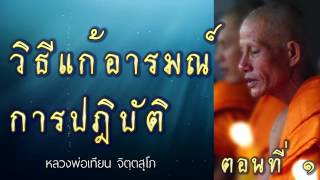 วิธีแก้อารมณ์การปฎิบัติ 1 - หลวงพ่อเทียน จิตฺตสุโภ - ชุด ความรู้สึกตัว CD1-42