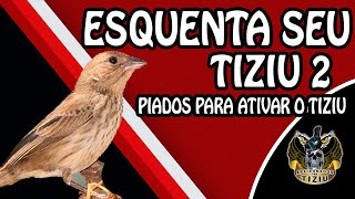 Piado de femea de tiziu. Esquenta seu tiziu 2 só piadinhos tops