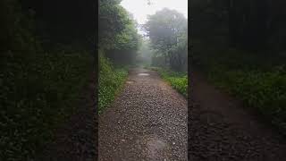 Riverston Hulankapolla😮#subscribe#srilanka#shorts#shortvideo#shortsvideo#nature#travel#naturesl