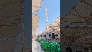 Di bawah payung pelataran Masjid Nabawi #shorts #madinah #masjidnabawi #tanahsuci #rasulullah