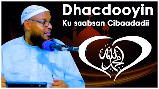 Dhacdooyin ku saabsan cibaadadii rasuulka صل الله عليه وسلم Sheekh maxamuud xaliike