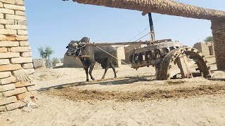 RAHAT Water Wheel  Rahat Irrigation System  Persian Wheel  Rehat System Of irrigation  Old Punjab