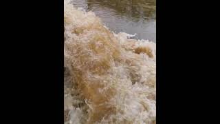 Land rover driving through flood