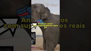 Animais raros com superpoderes reais p9. #vidaselvagem