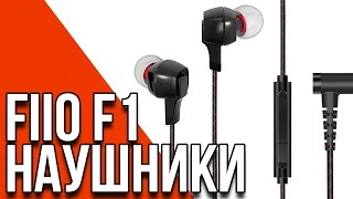 Fiio F1- Обзор бюджетных наушников от известного производителя