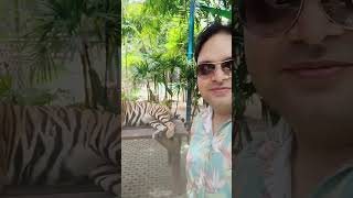 Travel More II Beautiful Thailand II Pataya V Log #travel #travelmore #tiger #tigerpark