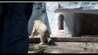 ❤ VƯỜN BÁCH THÚ Karlsruhe Baden Württemberg/ zoologisch Gardens Karlsruhe