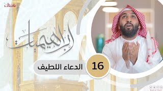 إبراهيميات 16 | الدعاء اللطيف📝🌱