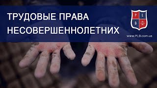 Трудовые права несовершеннолетних. Консультация Катерины Зарицкой