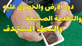 الطعم البلدى وكيفية الحصول عليه و التطعيمة الصحيحة والسمك المستهدف