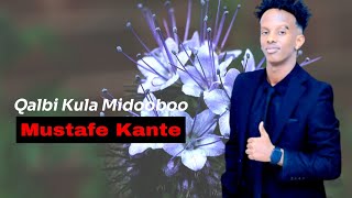 MUSTAFE KANTE 2024-Hees Cusub Qalbi Kula Midooboo Music Video