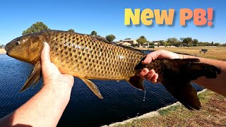 Catching My New PB Carp at My Local Community Pond!