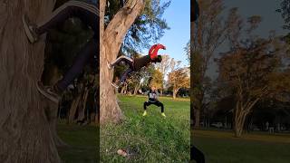 Aprende cómo hacer Wall Flip en un árbol🌳🏃🏻‍♂️😱🤩 #parkour #acrobatics #flips