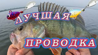 КАКАЯ  ПРОВОДКА ЛУЧШАЯ для ТЕЙЛ СПИННЕРА! Самый правильный Эксперимент!1