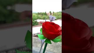 How to Make Paper Flowers |3D Origami | Craft 4 U | #Shorts