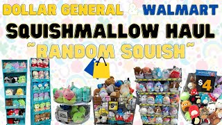 Random Squishmallow Haul ~Dollar General & Walmart Finds~